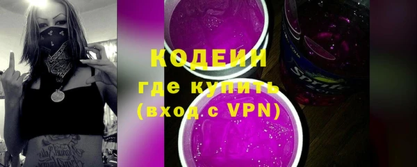 шишки Богородицк