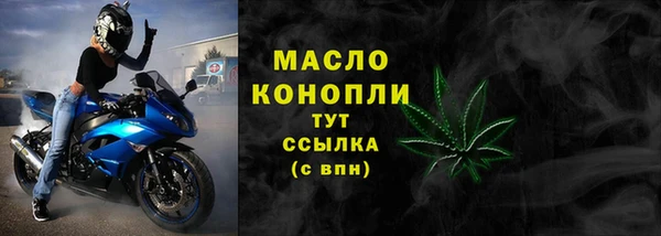 шишки Богородицк
