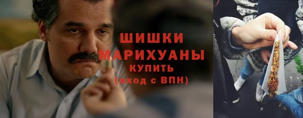 шишки Богородицк