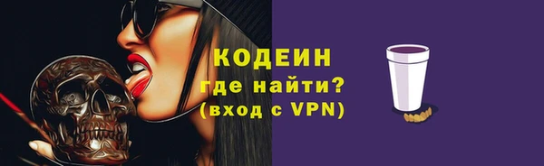 шишки Богородицк
