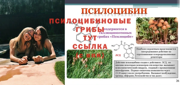 шишки Богородицк