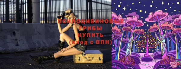 шишки Богородицк