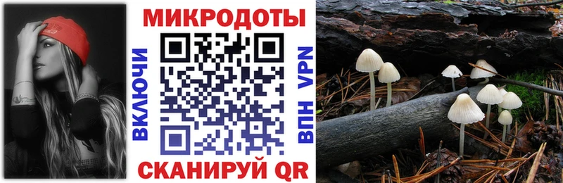 Галлюциногенные грибы GOLDEN TEACHER  Купить закладки  Богородицк 